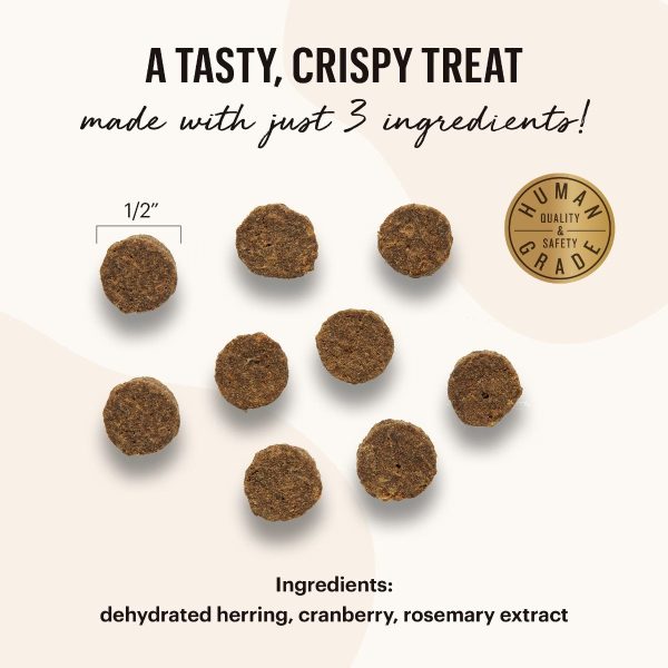 The Honest Kitchen Smittens: Round Herring & Cranberry Treats Online